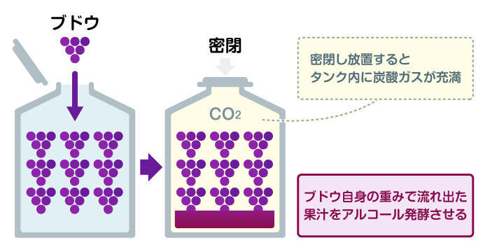 ボジョレーヌーヴォーの製造工程