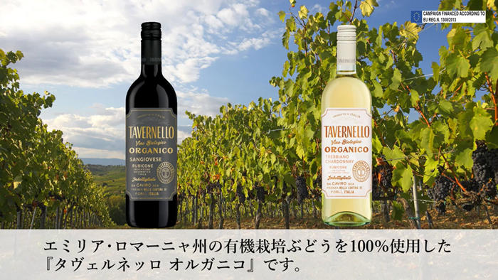 オンラインワインセミナーキャプチャ